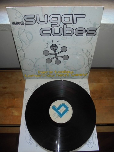 The sugarcubes here - the, "here