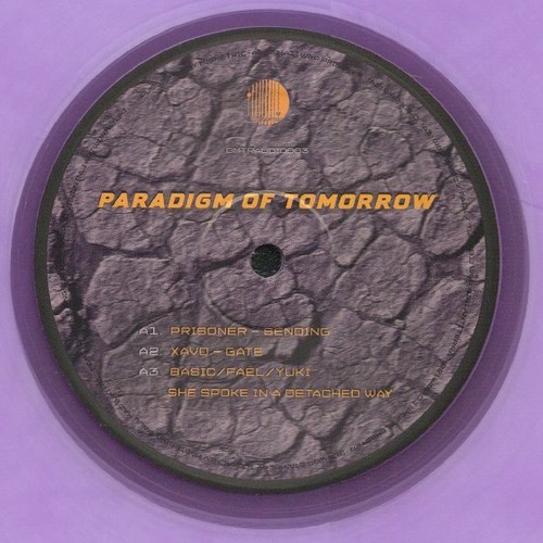 Various paradigm of tomorrow - various,