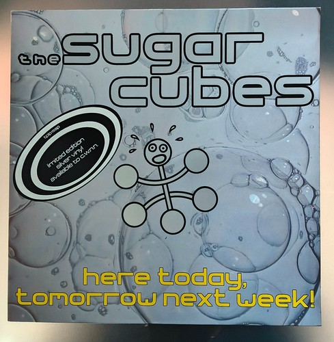 The sugarcubes here today - here,