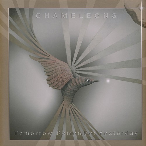 Chameleons tomorrow remember - chameleons,