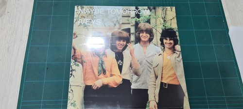 Iveys maybe - -,